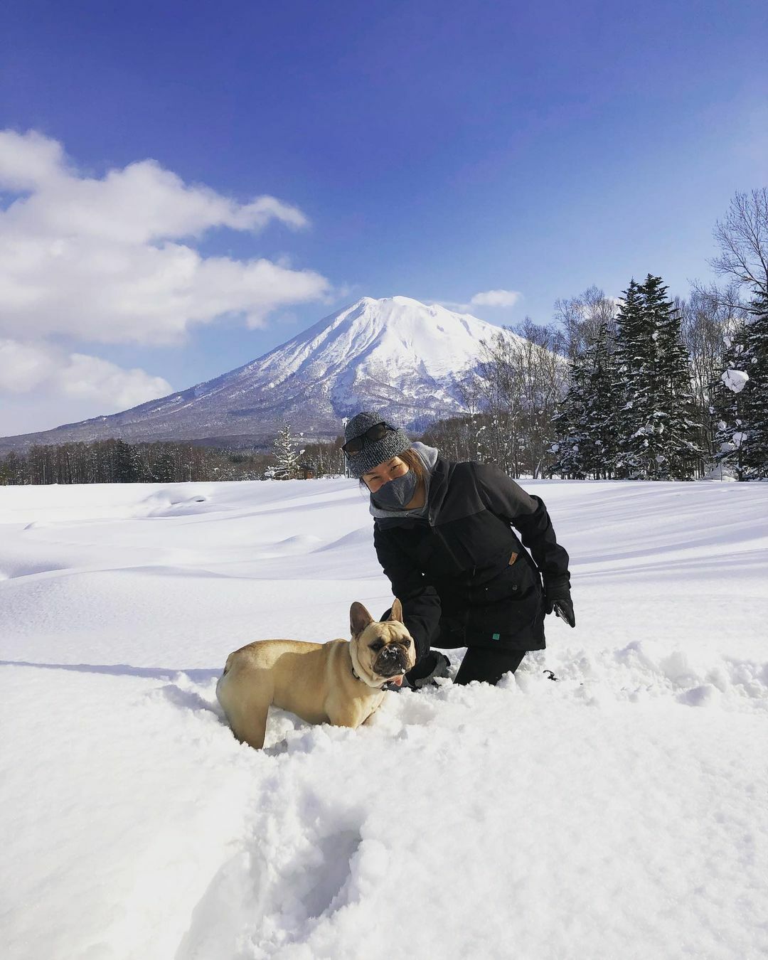 ニセコドッグフレンドリースノーシューツアー Vacation Niseko