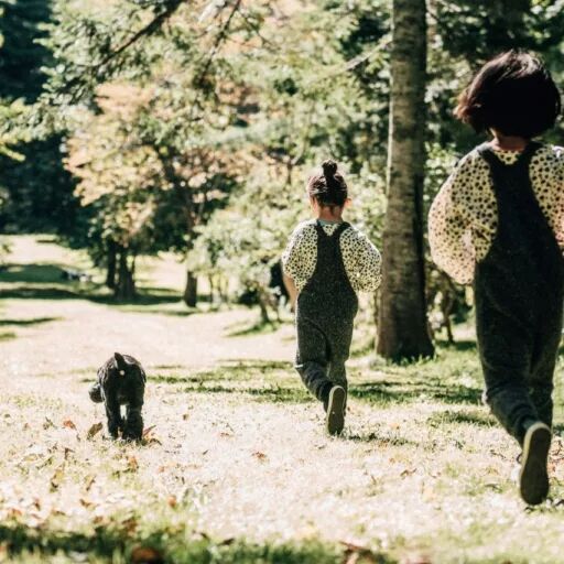 愛犬と北海道で長期滞在、爽快な高原の気候でたっぷり大自然を味わおう
