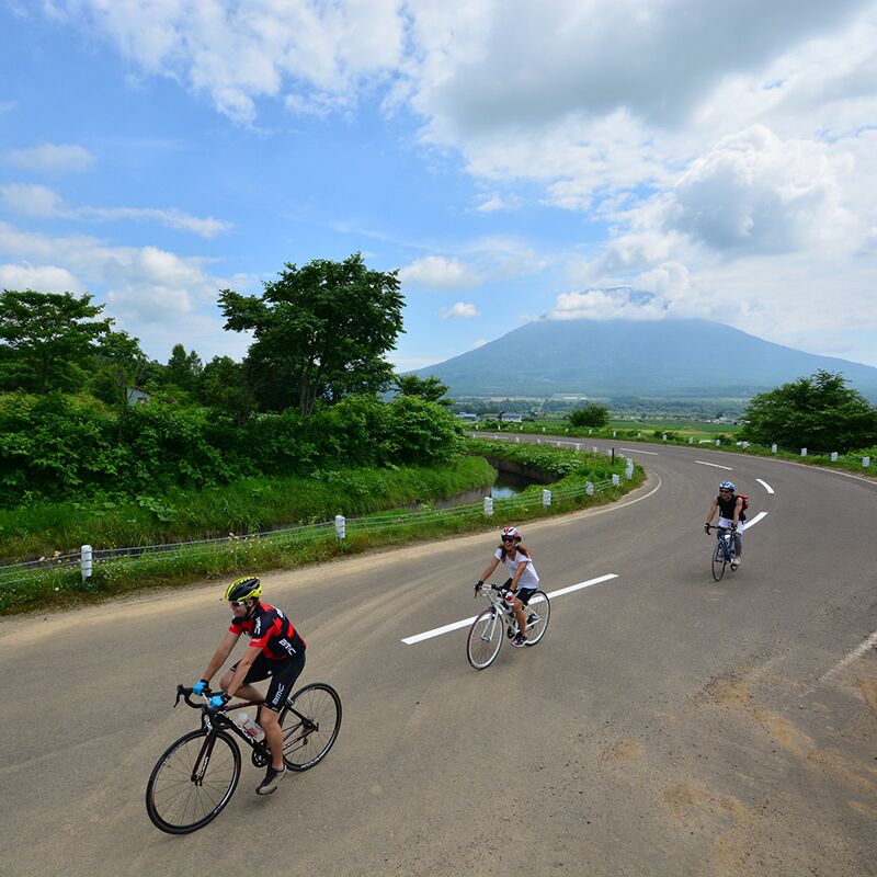 Why Niseko is the perfect summer cycling destination