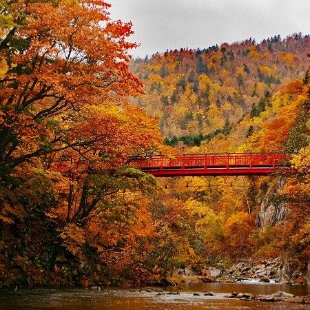 Hokkaido Colors: Our Favorite Autumn Spots