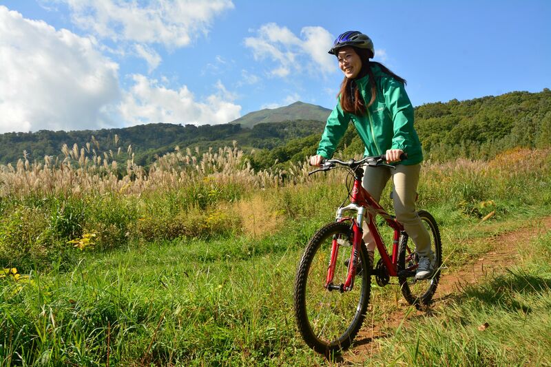 Mountain Bike Developments Continue in Niseko