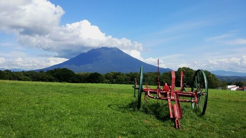 子供達が大はしゃぎ ニセコのオススメアクティビティ集 Vacation Niseko