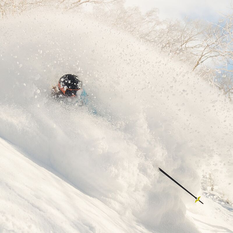 5 reasons February is the perfect time to come to Niseko