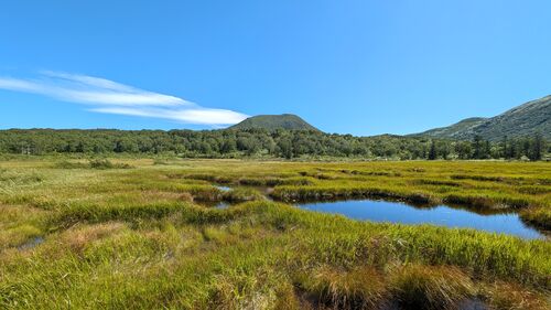 Top 5 reasons to visit Niseko in Autumn