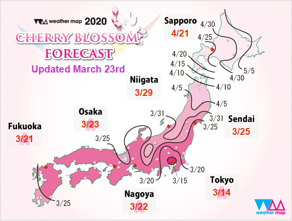 cherry blossom map japan 2020