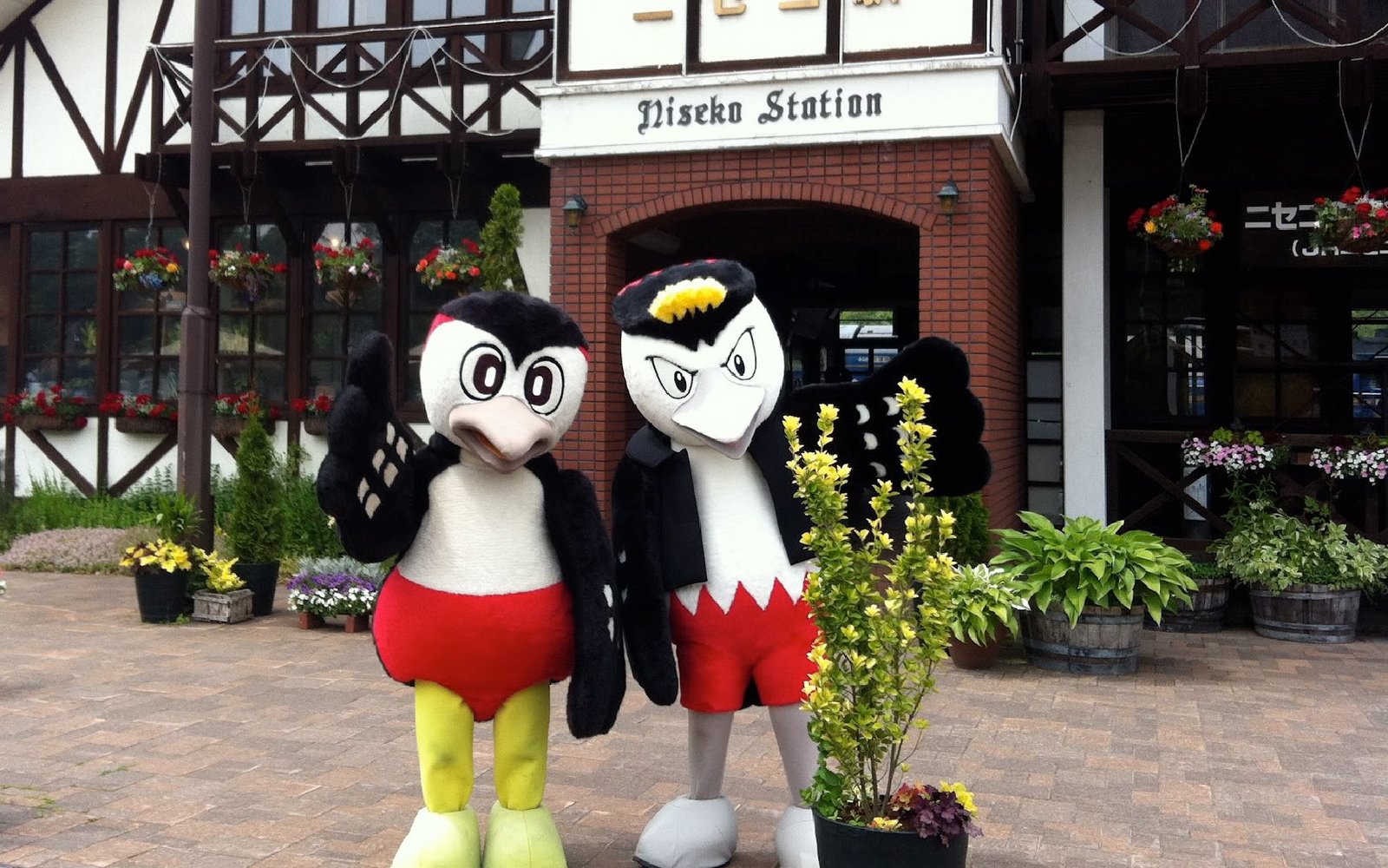 anniky and nicky are the twin mascots of niseko town japan