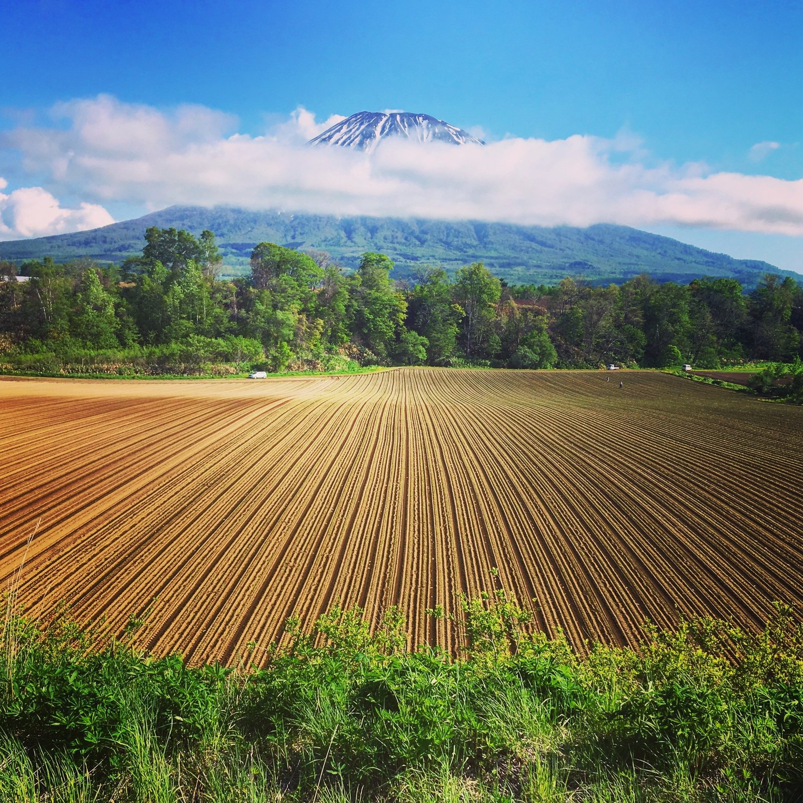 到北海道看富士山 富士山的雙胞胎 羊蹄山 及周邊景點介紹 Vacation Niseko