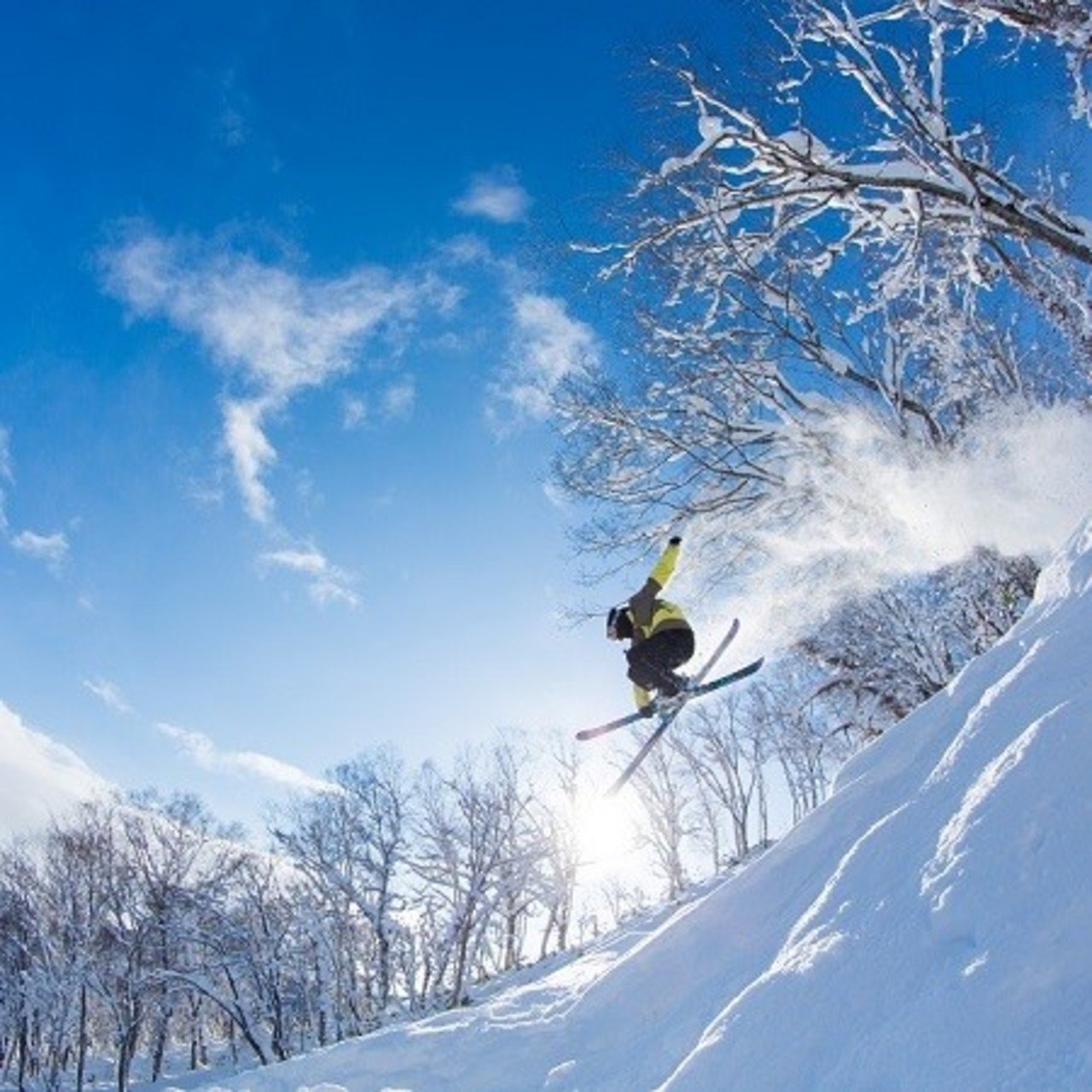 ultimate japan ski trip