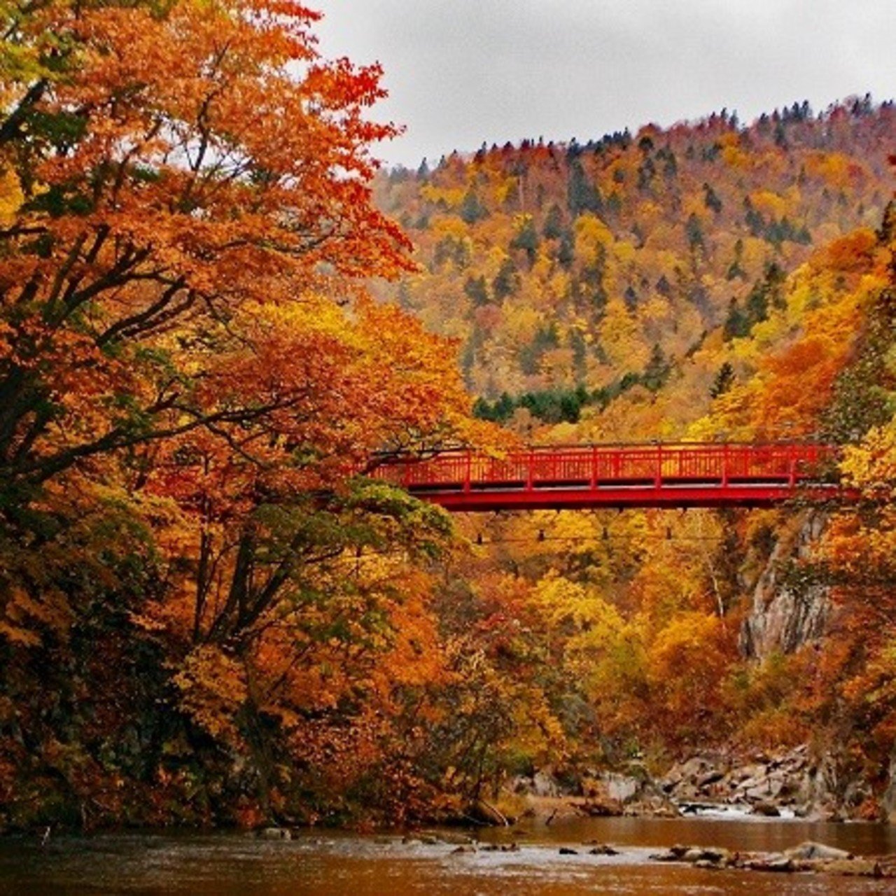 Hokkaido Colors Our Favorite Autumn Spots Vacation Niseko Blog