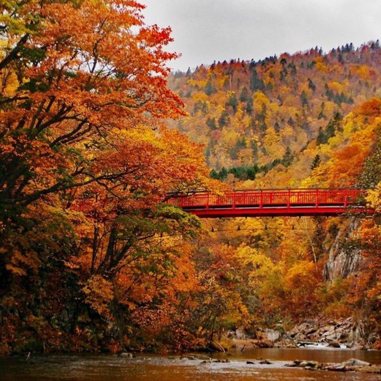 When to see the autumn foliage in Hokkaido Vacation Niseko Blog